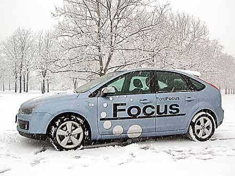 focus-a-todorovic